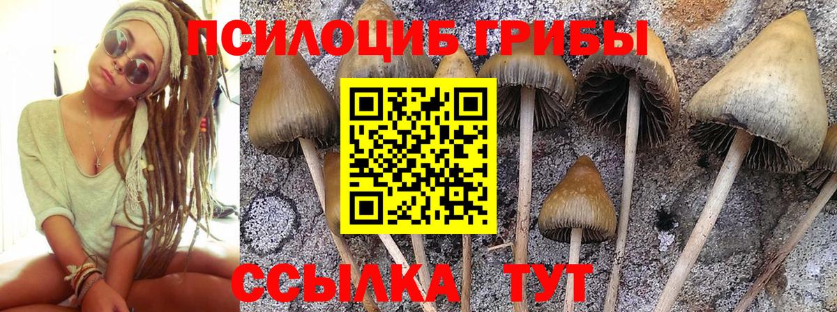 Гуково  Галлюциногенные грибы Magic Shrooms  Псилоцибиновые грибы Psilocybine cubensis  Вход с VPN 